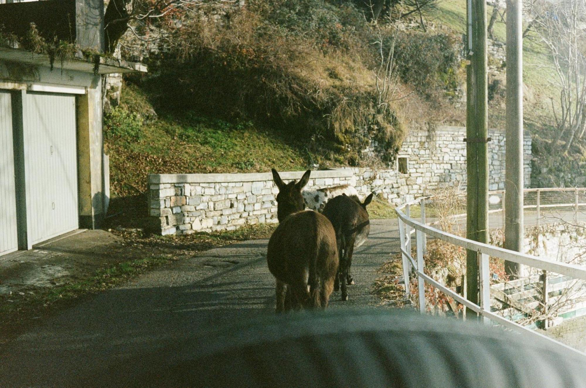 Ca' Bossi Villa Cernobbio Exterior foto